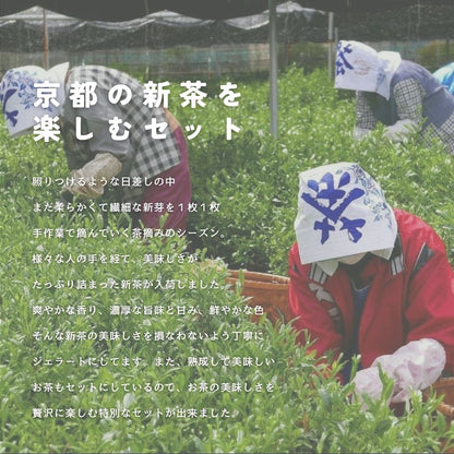 【予約商品】京都の新茶を楽しむセット
