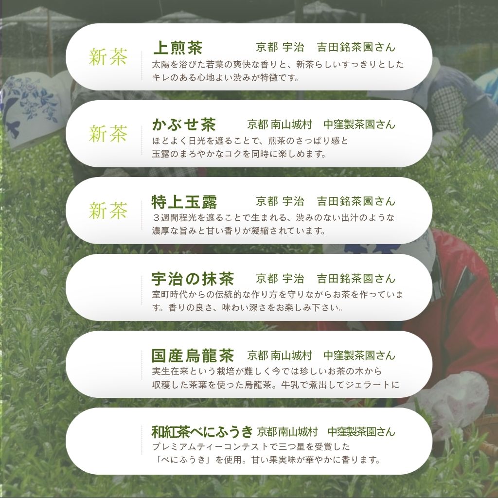 【予約商品】京都の新茶を楽しむセット