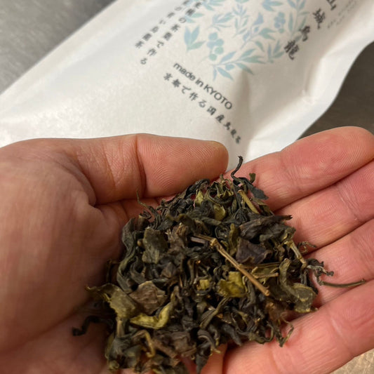 国産ウーロン茶