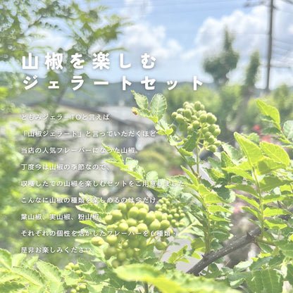 山椒を楽しむジェラートセット