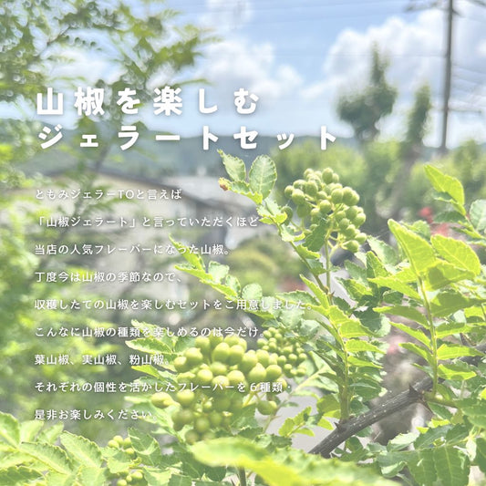 山椒を楽しむジェラートセット